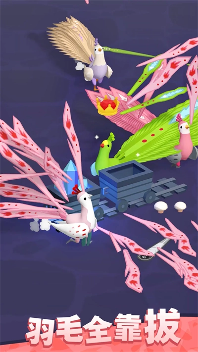 孔雀拔毛大赛 (4)