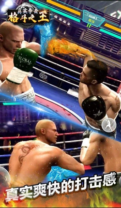 真實(shí)拳擊格斗之王截圖1