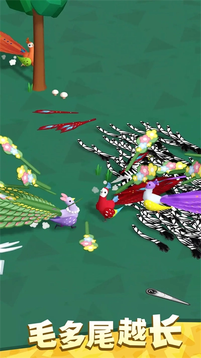 孔雀拔毛大赛 (1)