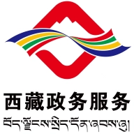 西藏政务服务网