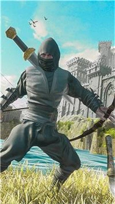 忍者刺客武士截圖2