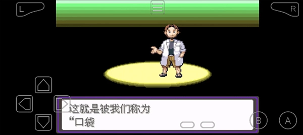 宝可梦漆黑的魅影4