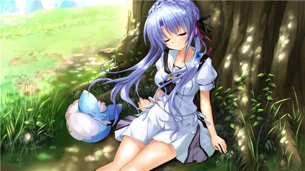 夏日口袋完整版图2