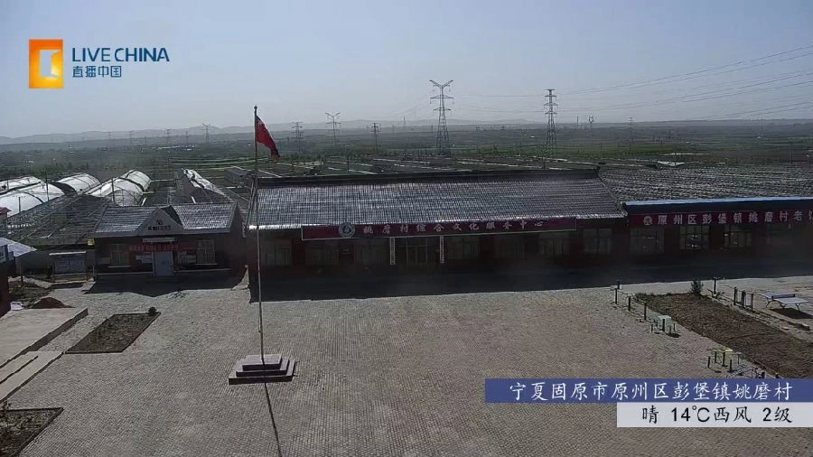 小春直播tv版截图1