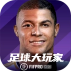 足球大玩家国际服 