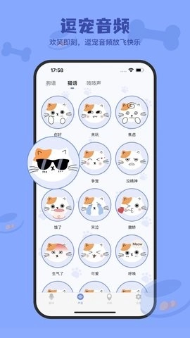 小白交流翻译手机版图2