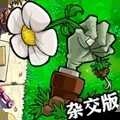 植物僵尸大战杂交版