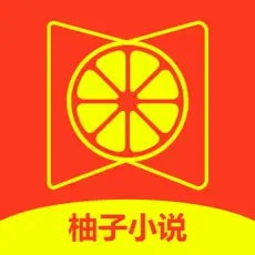 柚子小说