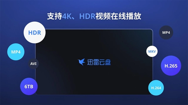迅雷Tv电视端截图3