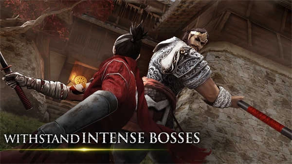 忍者武士隆 图3