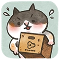 猫箱物语