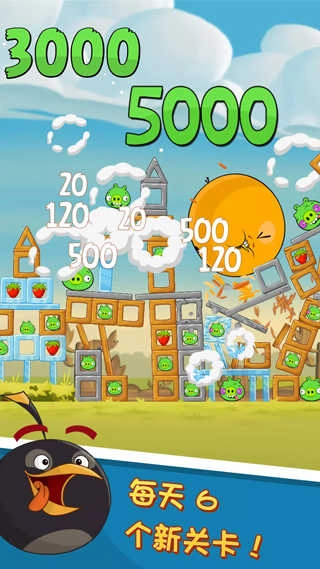 angry bird截图1