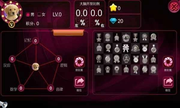 最强大脑正版截图3