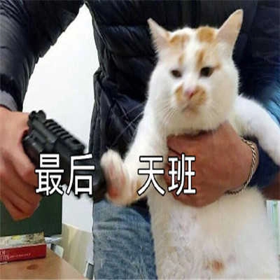 再摸5天鱼就放假了表情包 (1)