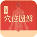 人体穴位图解安卓版