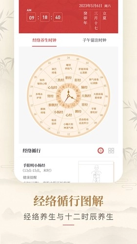 人体穴位图解安卓版图3