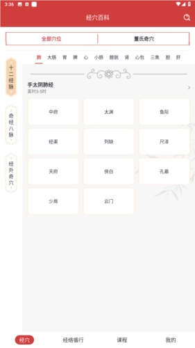 人体穴位图解安卓版