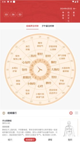 人体穴位图解安卓版