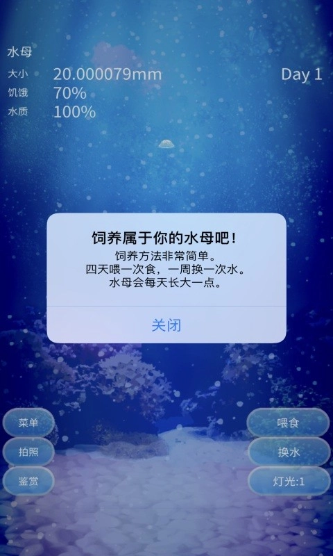 养育水母的治愈游戏正式版图4