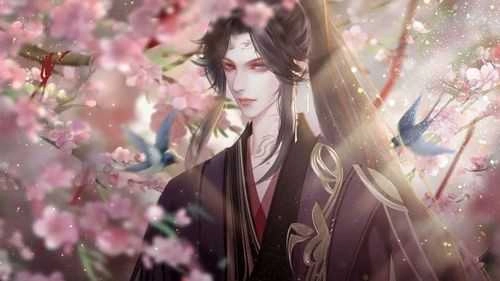 仅仅是外人清软截图0