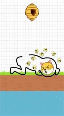 保护狗狗安全图3