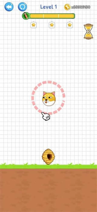 保护狗狗不被蜜蜂蛰图3