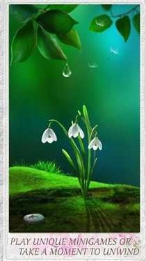 佛罗里达虚拟花园（FLORIA）图2