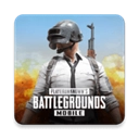 绝地求生日韩服