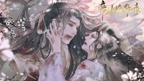 帝业风华录清软2