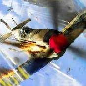 二战战机终极战