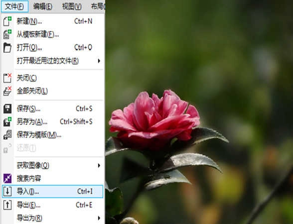 coreldrawx4绿色精简版图1