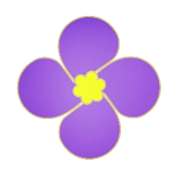 紫金草视频最新版