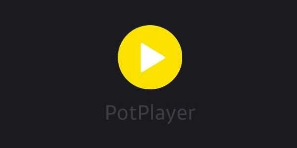 potplayer最新版截图0