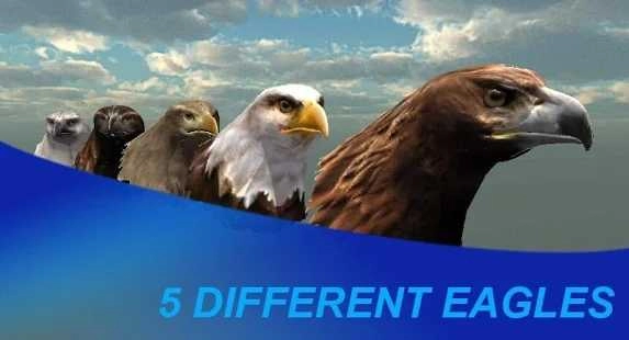 猎鹰之旅Eagle Hunting Journey图1