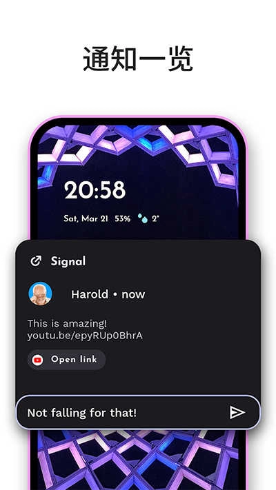 Niagara Launcher手机版截图0