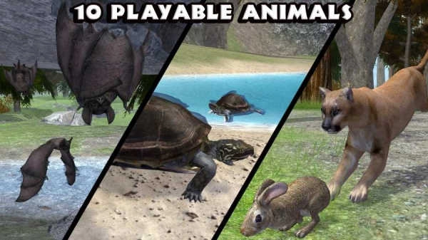 终极草原模拟器图1