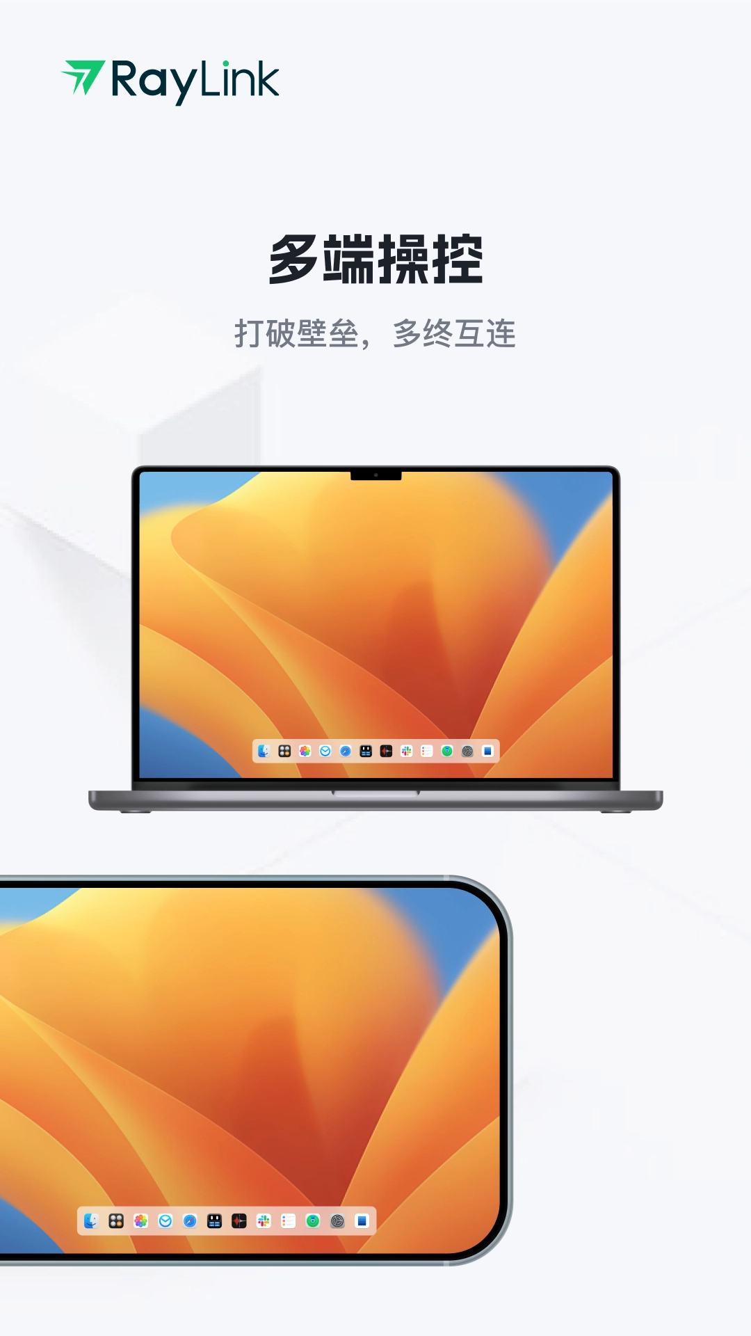 raylink远程控制 1.0图2