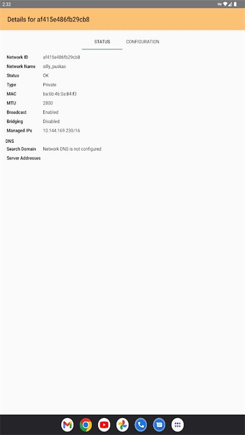 Zerotier One手机版图1