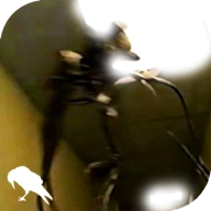 暗房后室(The Backrooms)