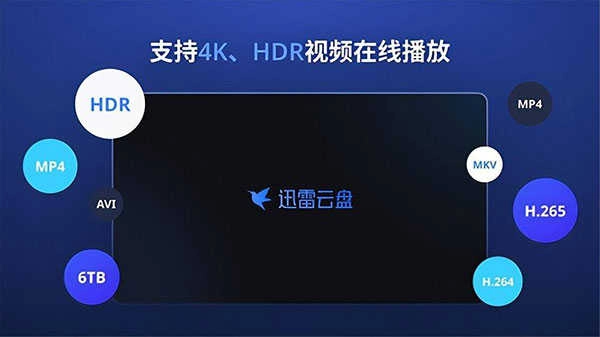迅雷tv版截图1