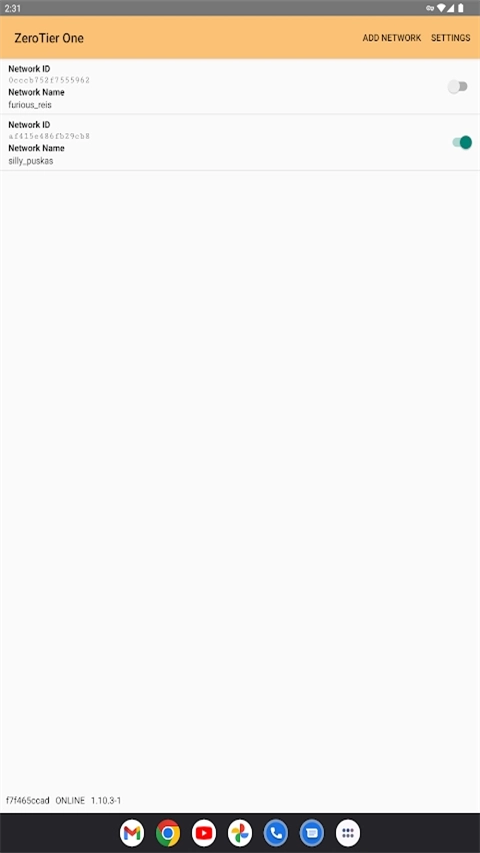 Zerotier One手机版图2