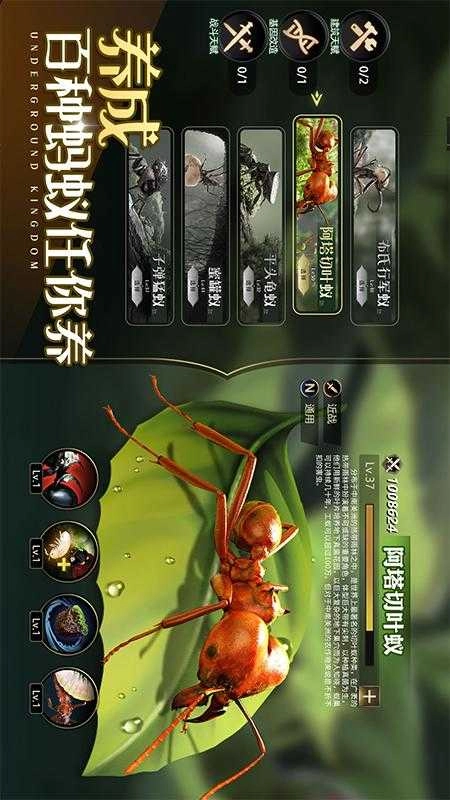 小小蚁国6.0图5