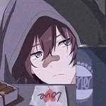 宏哥定制直装软件 0.00