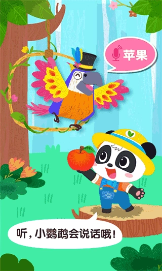 宝宝鸟类认知-图5