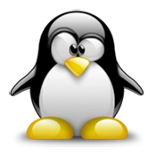 Linux Deploy 