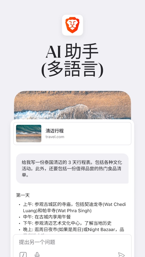 Brave浏览器中文版图2