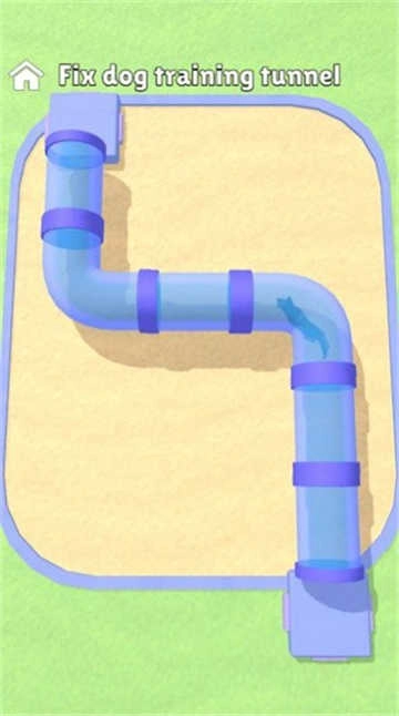 狗子特训营（Hyper Dog Training）图2