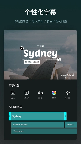 vn视频剪辑最新版(5)