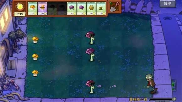 植物大战僵尸拼接版图2