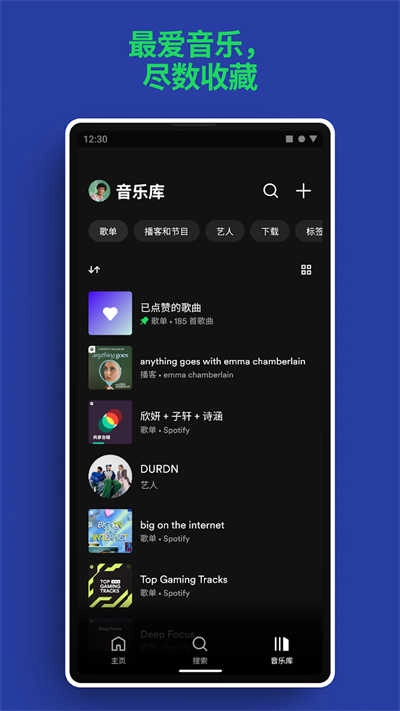Spotify音乐中文 (4)